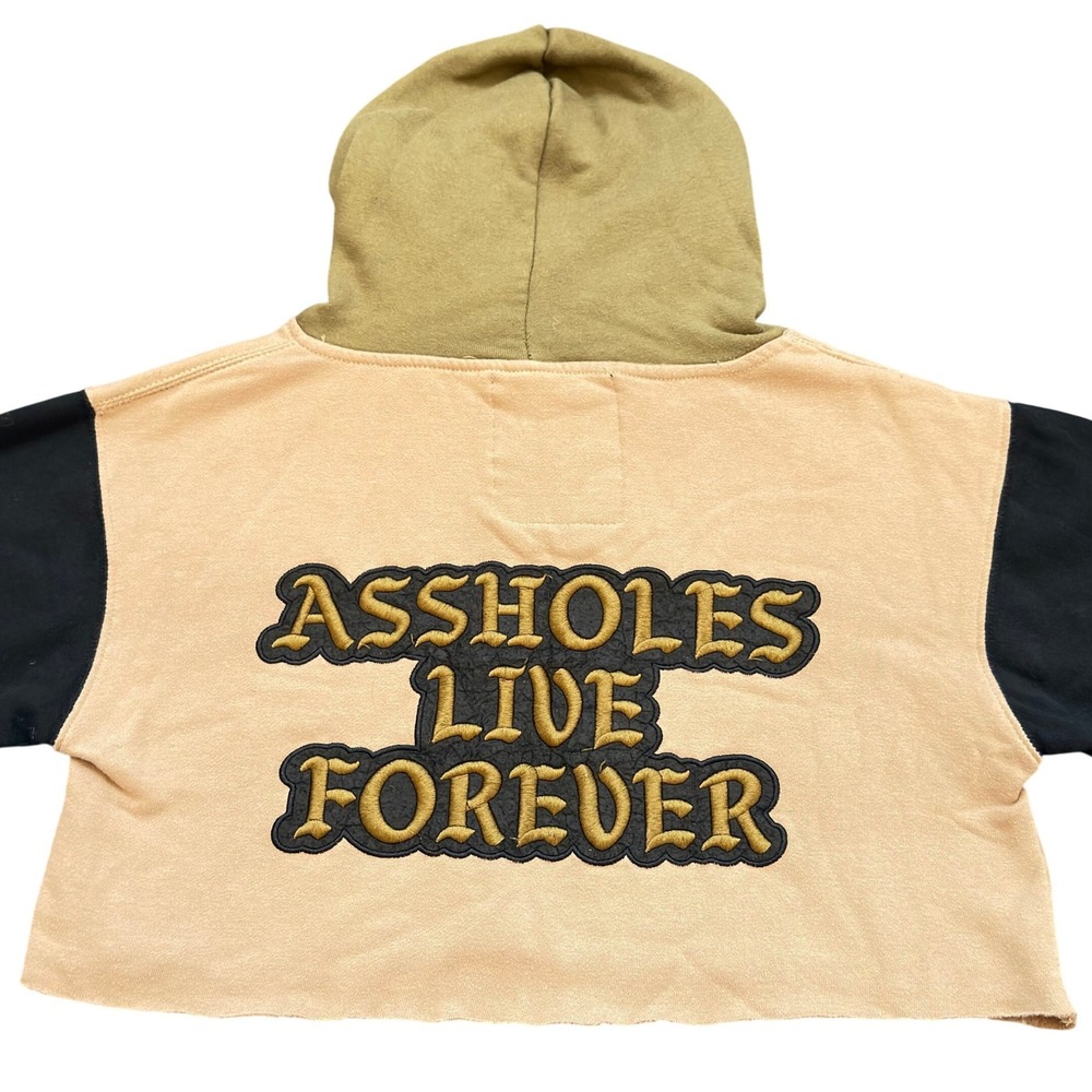 Assholes Live Forever Cropped Streetwear Hoodie Small Colorblock Raw Hem Edgy